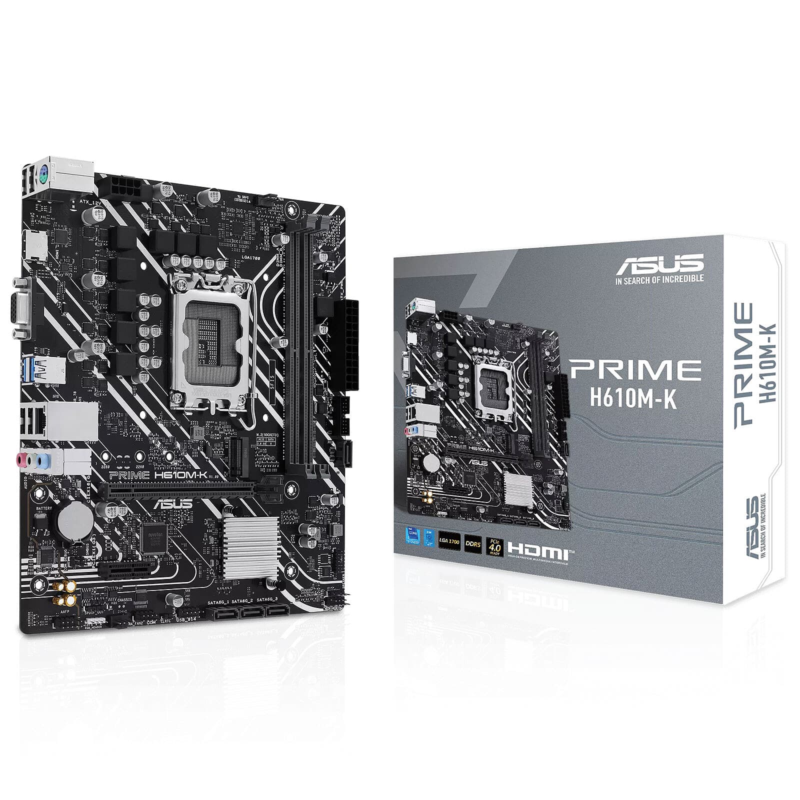 CARTE MERE ASUS PRIME H610 M-K DDR5
